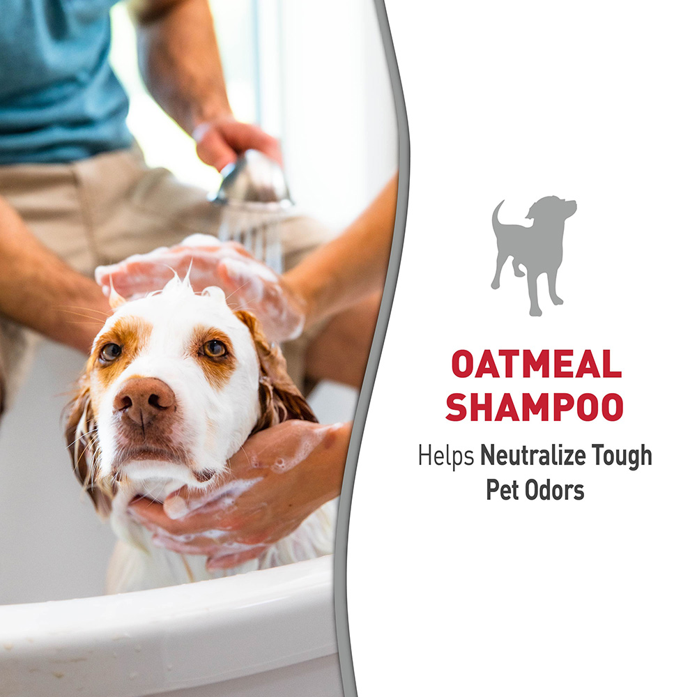 Oatmeal enhanced outlet dog shampoo